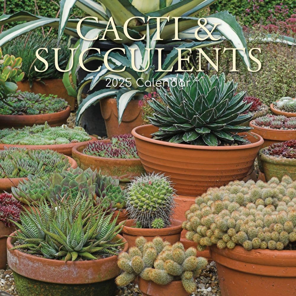 Cacti and Succulents 2025 Wall Calendar - Calendars.com