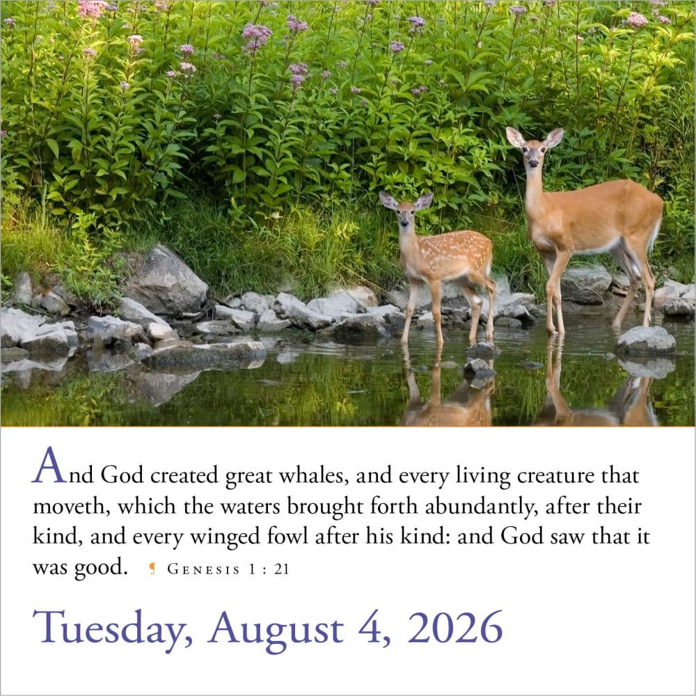 Bible Verses 2026 Desk Calendar Third Alternate Image