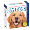 image Dogs 365 2026 Desk Calendar Main Product Image
