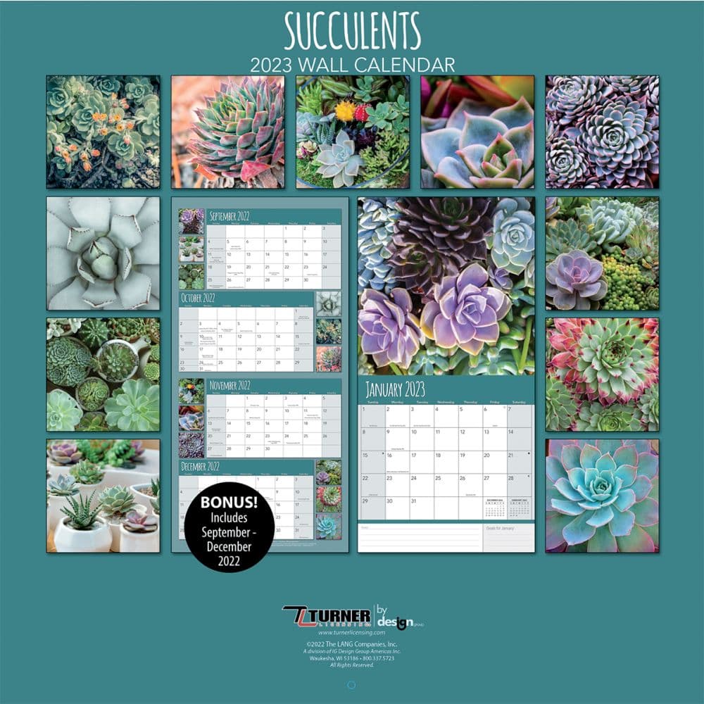 Succulents 2023 Wall Calendar - Calendars.com