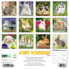 image Bunnies 2025 Wall Calendar First Alternate Image width=&quot;1000&quot; height=&quot;1000&quot;