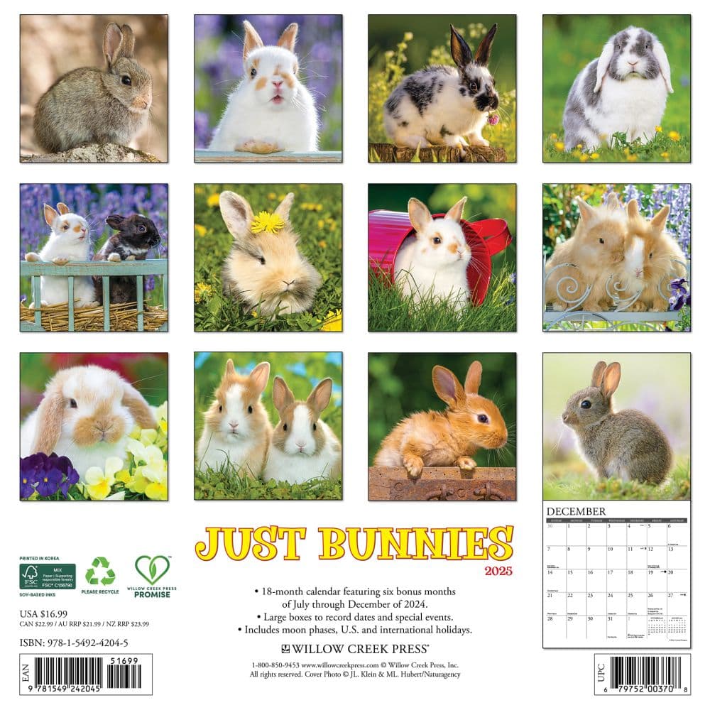 Bunnies 2025 Wall Calendar First Alternate Image width=&quot;1000&quot; height=&quot;1000&quot;