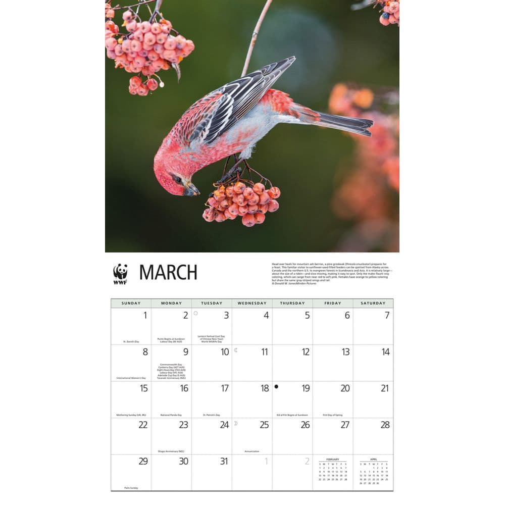 Birds Backyard WWF 2026 Wall Calendar Second Alternate Image