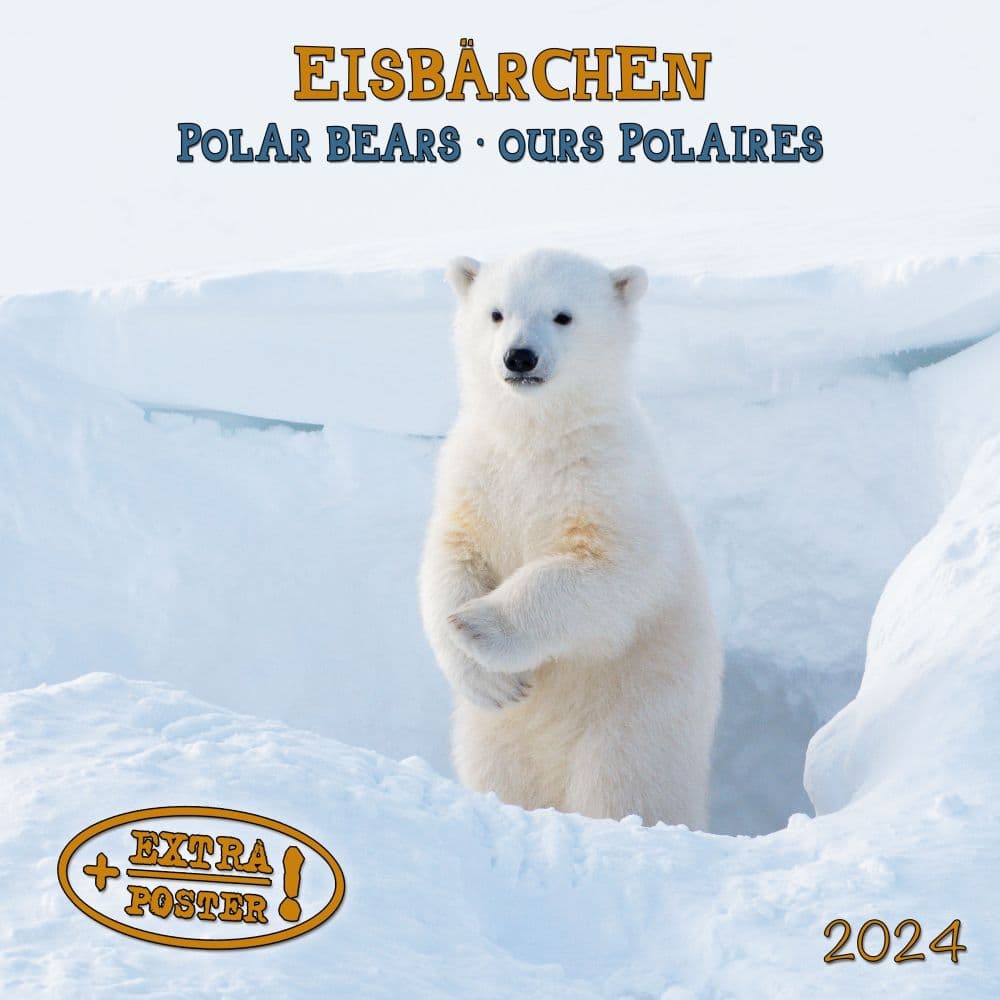 Polar Bears 2024 Wall Calendar