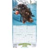 image Underwater Dogs 2024 Wall Calendar Alternate Image 4