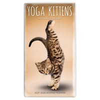 image Yoga Kittens 2027 2 Year Pocket Planner Main Product Image