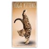 image Yoga Kittens 2027 2 Year Pocket Planner Main Product Image