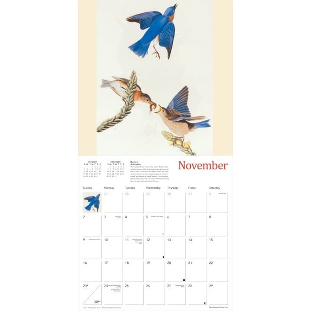 Fitzwilliam Audubon Birds 2025 Wall Calendar Third Alternate Image