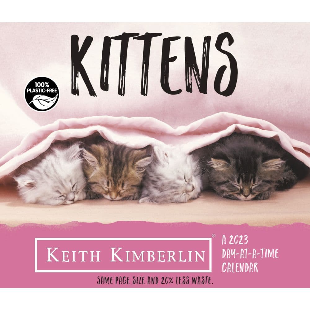 Trends International Kittens Kimberlin 2023 Desk Calendar