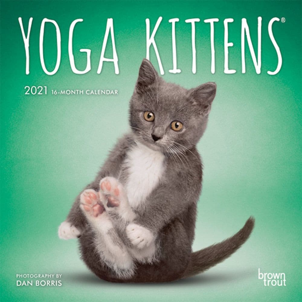 Yoga Kittens Mini Wall Calendar