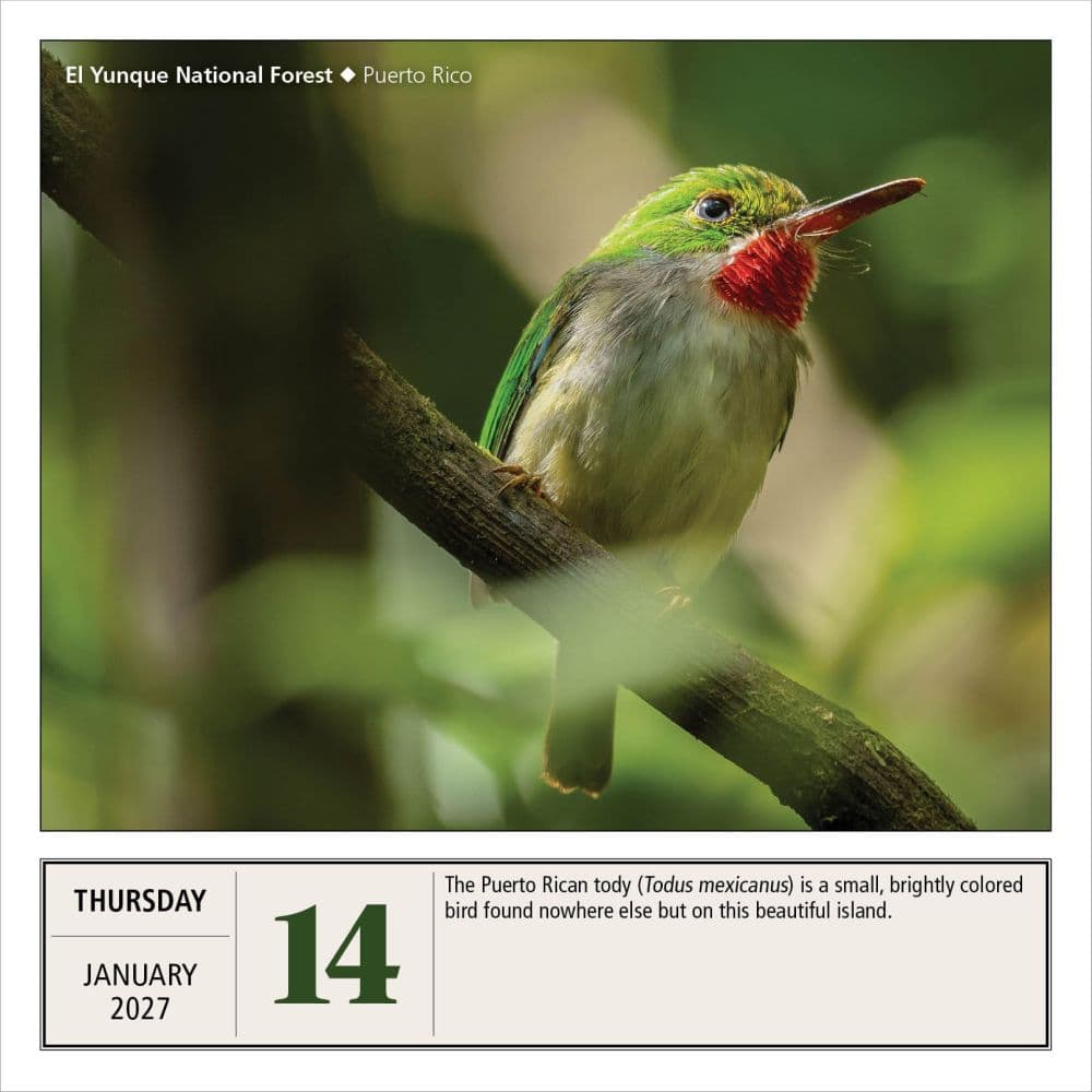 National Parks 2027 Page-A-Day Desk Calendar Third Alternate Image