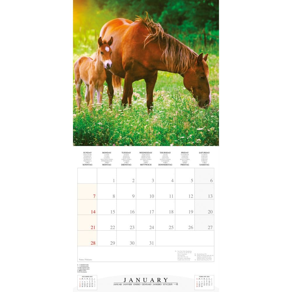 Magic Horses 2024 Wall Calendar Second Alternate Image width=&quot;1000&quot; height=&quot;1000&quot;