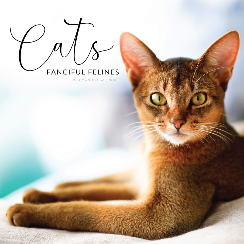 Cats Fanciful Felines 2024 Wall Calendar Main Product Image width=&quot;1000&quot; height=&quot;1000&quot;