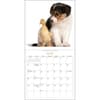 image Puppies and Friends 2025 Wall Calendar Second Alternate Image width=&quot;1000&quot; height=&quot;1000&quot;