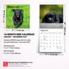 image Black Lab Puppies 2027 Mini Wall Calendar Sixth Alternate Image