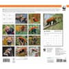 image Red Pandas WWF 2026 Wall Calendar First Alternate Image