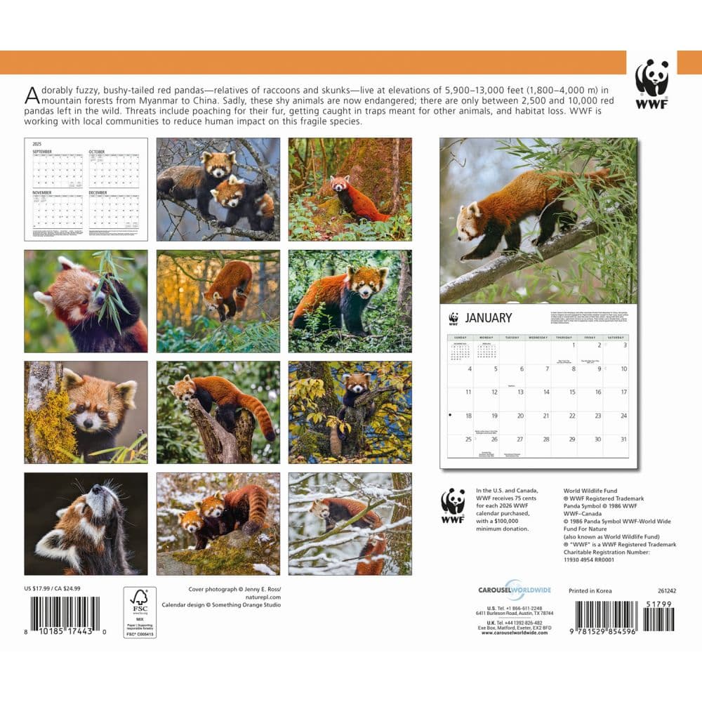 Red Pandas WWF 2026 Wall Calendar First Alternate Image