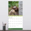 image Sloths 2025 Wall Calendar Third Alternate Image