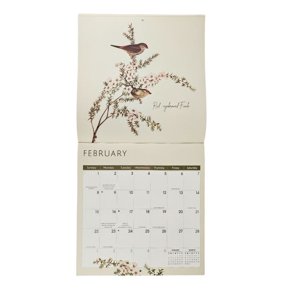 Birds 2026 Wall Calendar Fourth Alternate Image