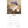 image Cats in Hats 2024 Mini Wall Calendar Alternate Image 3