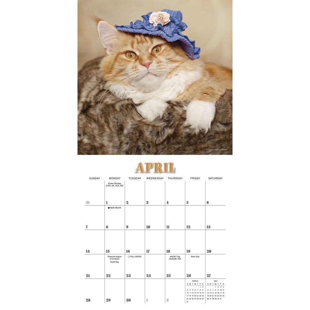 Cats in Hats 2024 Mini Wall Calendar Alternate Image 3