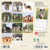 image Australian Shepherd 2025 Mini Wall Calendar First Alternate Image width=&quot;1000&quot; height=&quot;1000&quot;