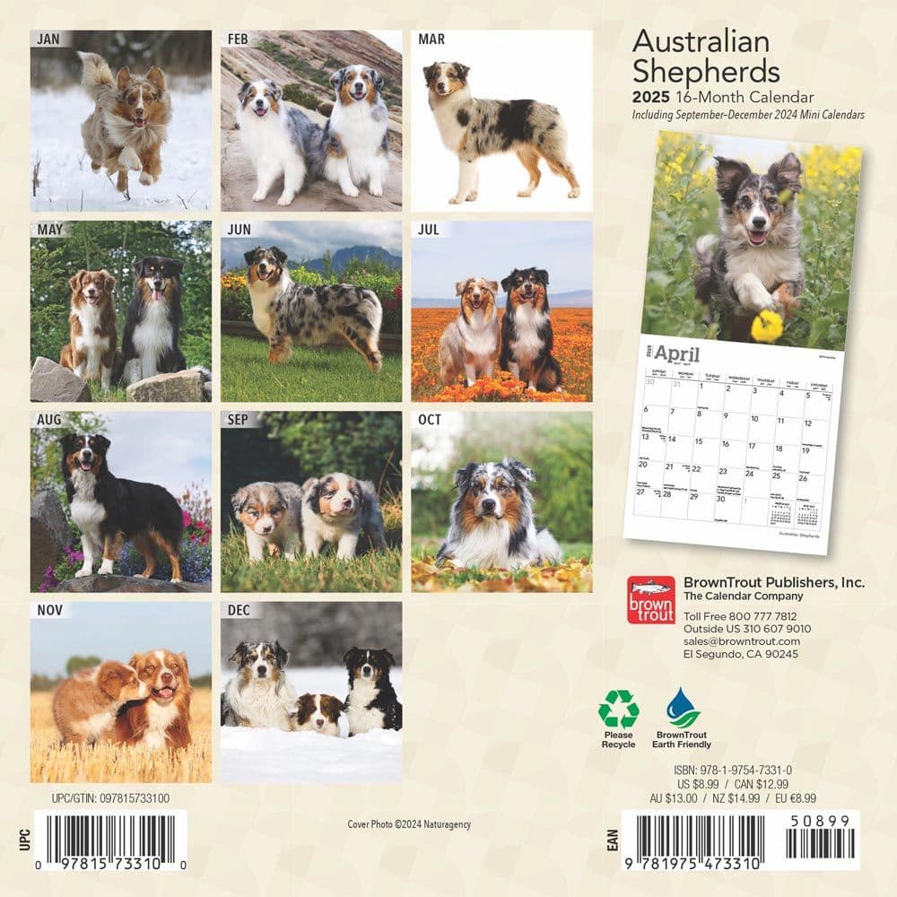 Australian Shepherd 2025 Mini Wall Calendar First Alternate Image width=&quot;1000&quot; height=&quot;1000&quot;