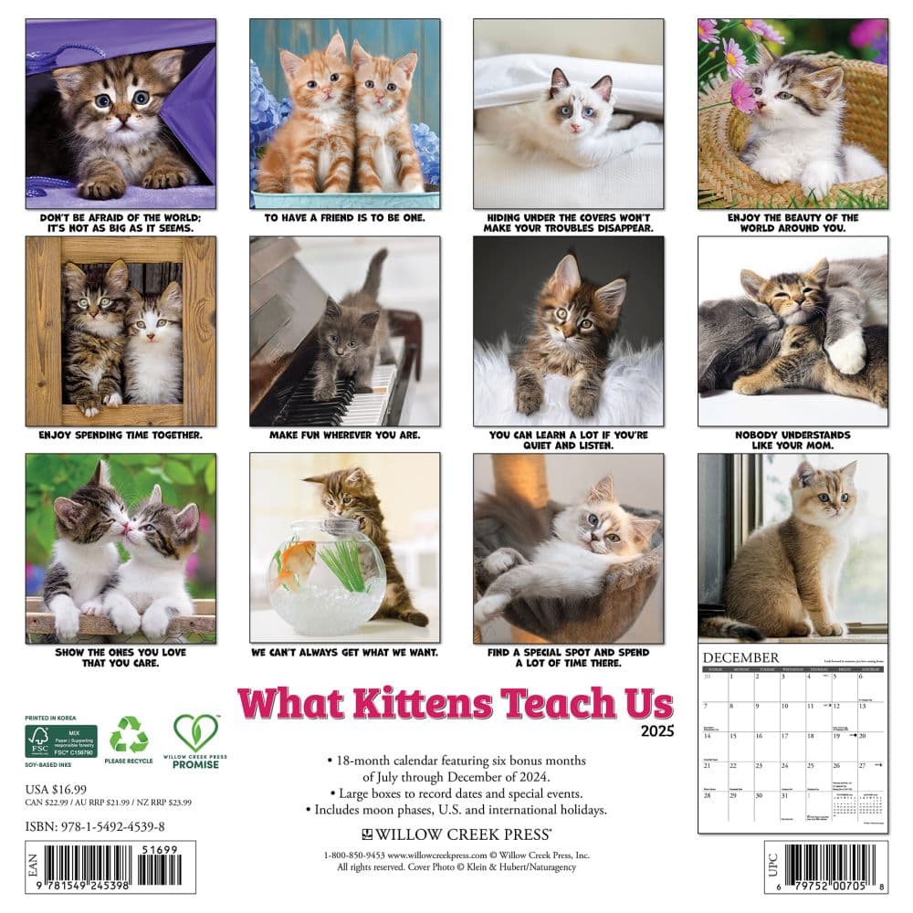 What Kittens Teach Us 2025 Wall Calendar First Alternate Image width=&quot;1000&quot; height=&quot;1000&quot;