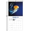 image Jellyfish Photo 2026 Wall Calendar