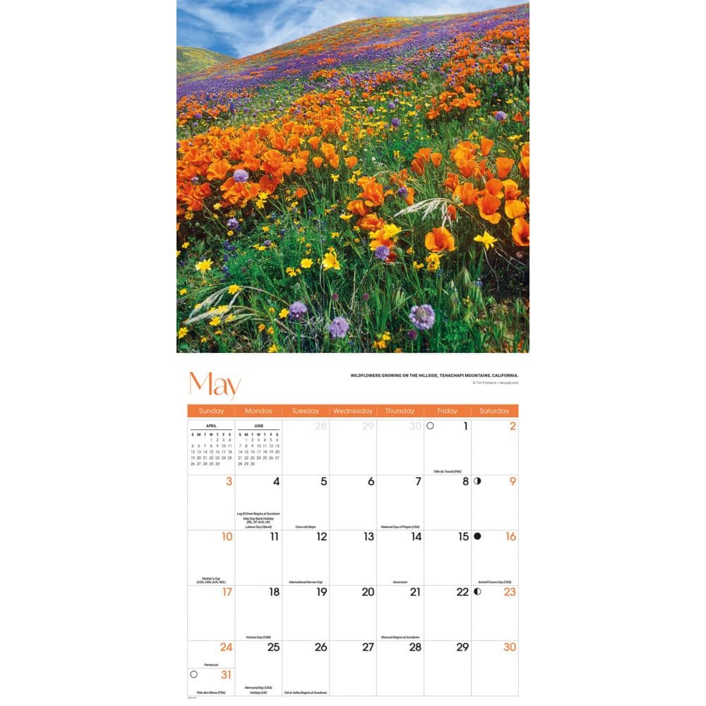 Seasons 2026 Wall Calendar Third Alternate Image