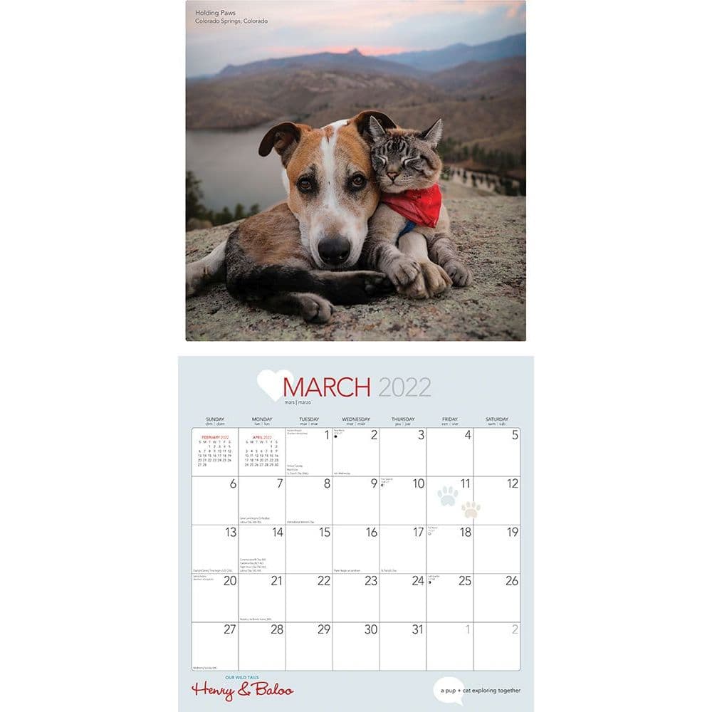 Henry And Baloo Our Wild Tails 2022 Wall Calendar - Calendars.com