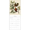 image Audubon Birds of America 2024 Wall Calendar Second Alternate Image width=&quot;1000&quot; height=&quot;1000&quot;