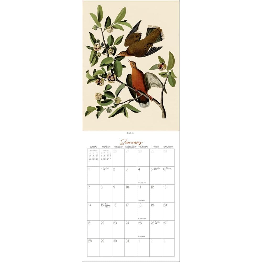 Audubon Birds of America 2024 Wall Calendar Second Alternate Image width=&quot;1000&quot; height=&quot;1000&quot;