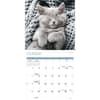 image Naptime Cats Special Value 2026 Wall Calendar Fourth Alternate Image