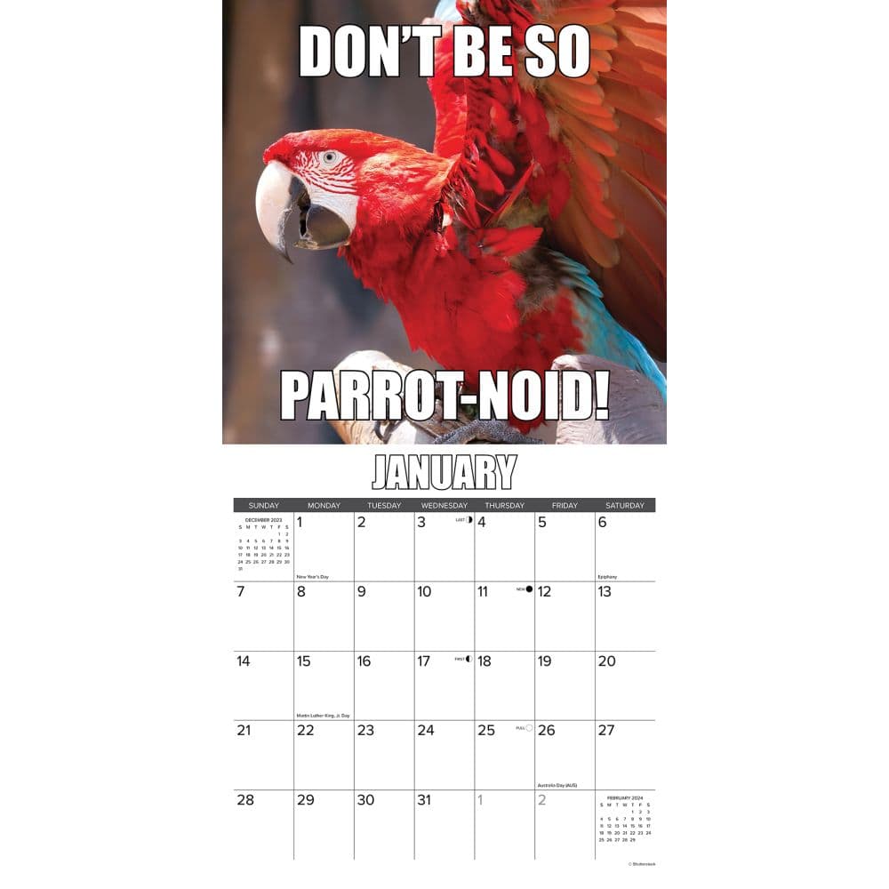 Fowl Language 2024 Wall Calendar