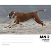 image Just Boxers 2025 Desk Calendar Second Alternate Image