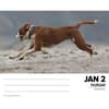 image Just Boxers 2025 Desk Calendar interior image