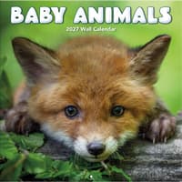image Baby Animals Photo 2027 Wall Calendar
