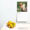 image Chickens 2025 Wall Calendar