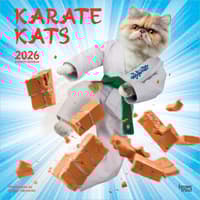 image Karate Cats 2026 Wall Calendar