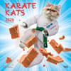 image Karate Cats 2026 Wall Calendar