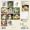 image Golden Retriever Puppies 2024 Mini Wall Calendar First Alternate Image width=&quot;1000&quot; height=&quot;1000&quot;