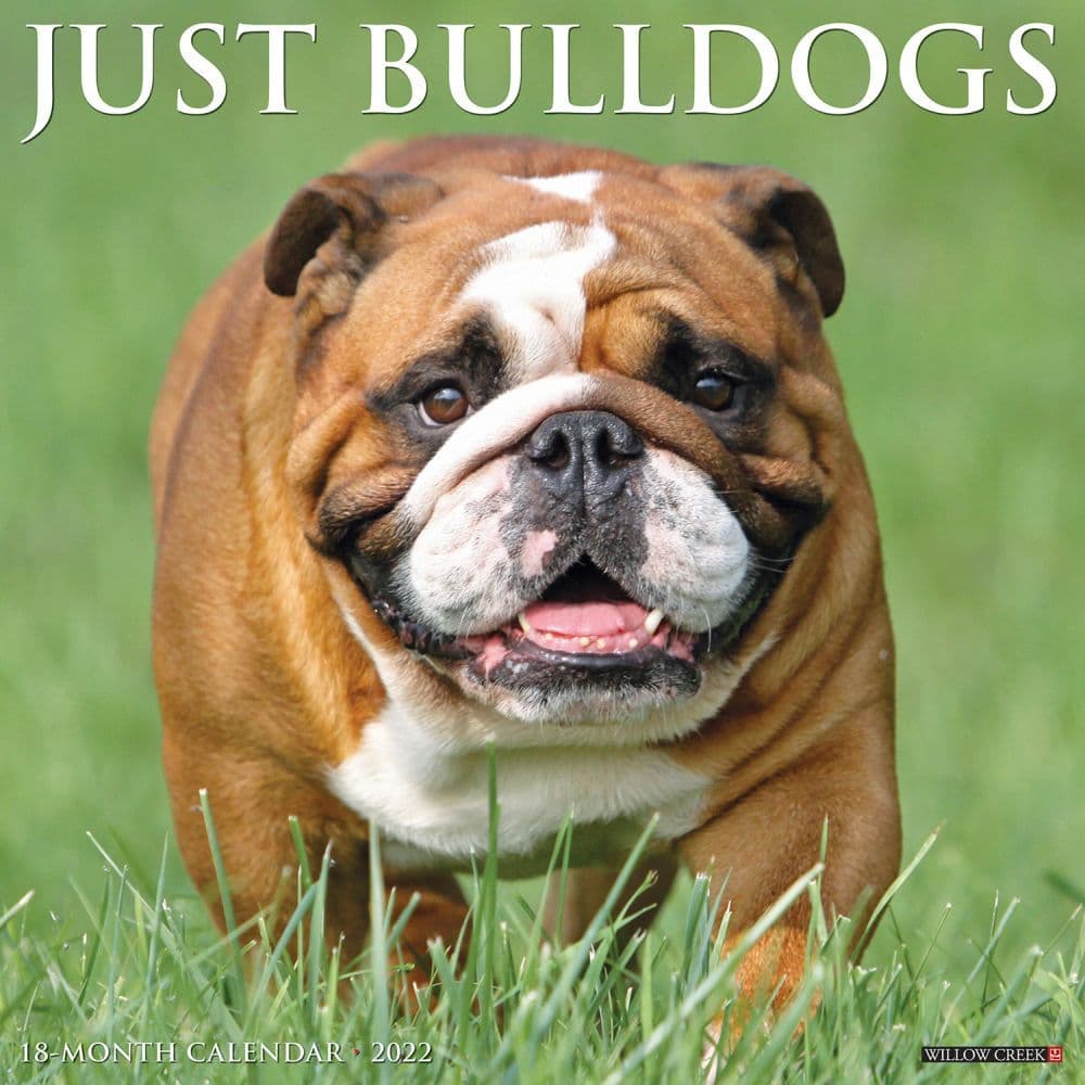 Bulldogs 2022 Calendar Dog Calendars com