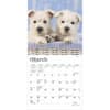 image West Highland Terrier Puppies 2025 Mini Wall Calendar