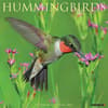 image Hummingbirds 2025 Wall Calendar  Main Image