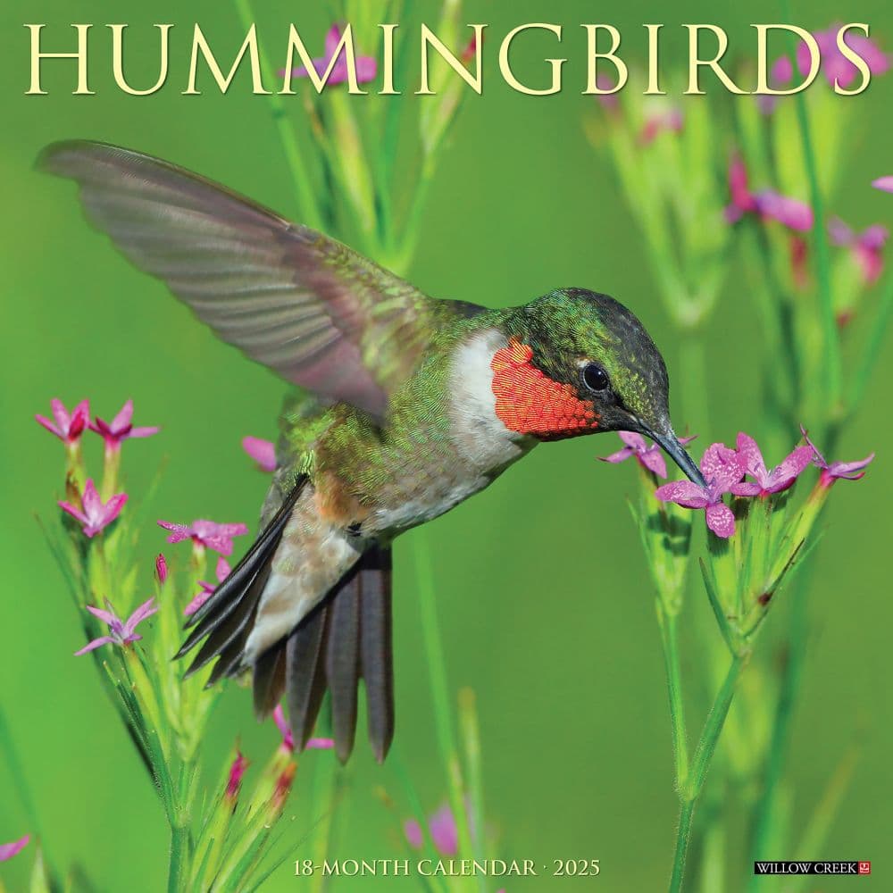 Hummingbirds 2025 Wall Calendar  Main Image