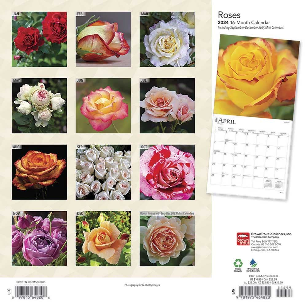 Roses 2025 Wall Calendar