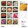 image Roses 2024 Wall Calendar First Alternate Image width=&quot;1000&quot; height=&quot;1000&quot;