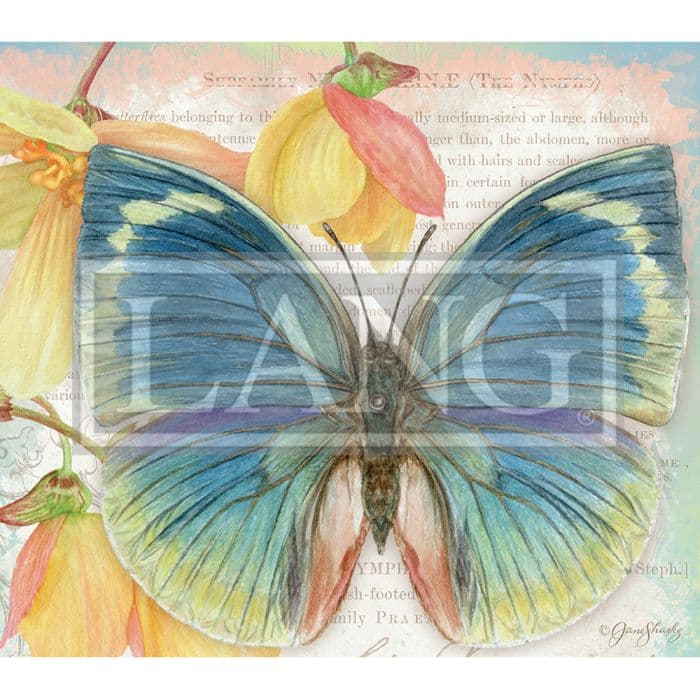 Butterflies 2024 Desktop Wallpaper Calendars Com   F2d8b85c 6fe1 4a3b B4d7 F39529b25691