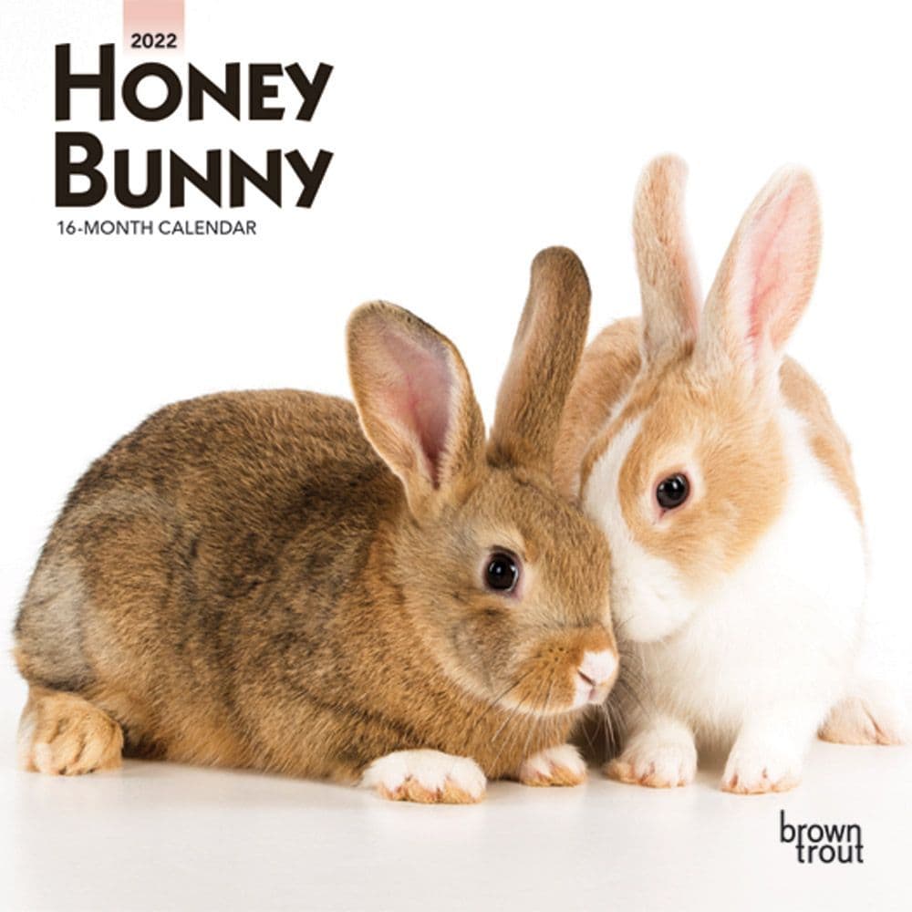Honey Bunny 2022 Mini Wall Calendar